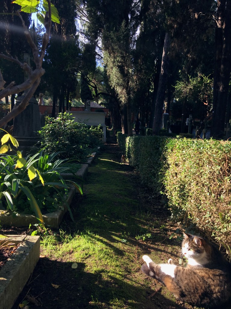 Viale del cimitero acattolico di Roma